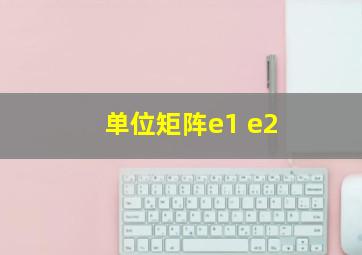 单位矩阵e1 e2